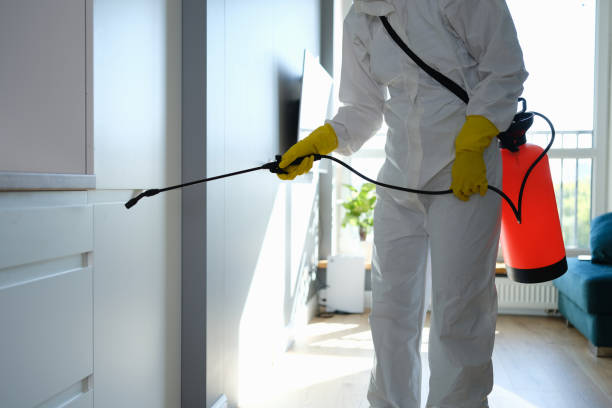 Best Mold Remediation for Specific Building Types in Mvell, AR